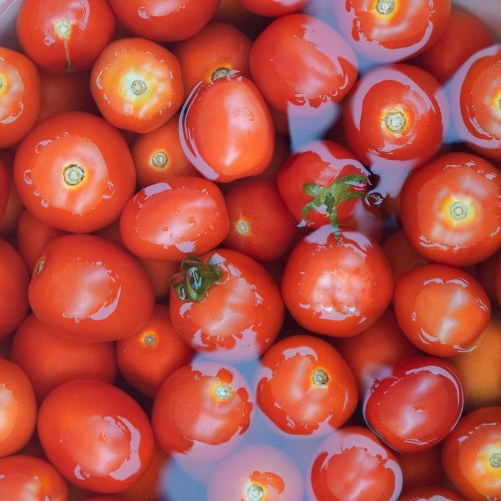 Fresh Tomatoes (1 kg)