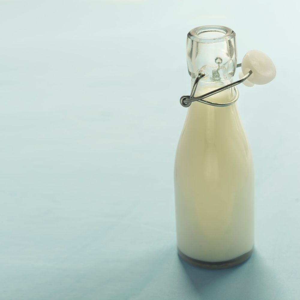 Fresh Milk (1 litre)