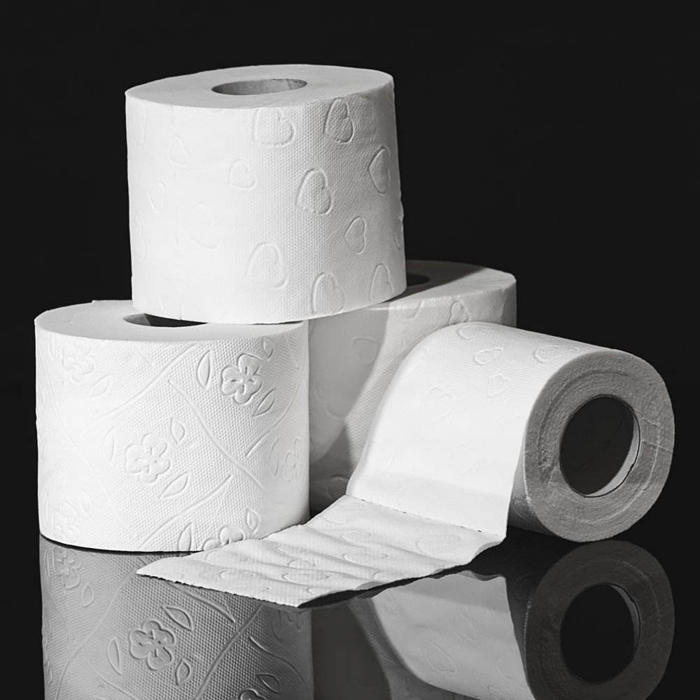 Toilet Tissue (1 pack)