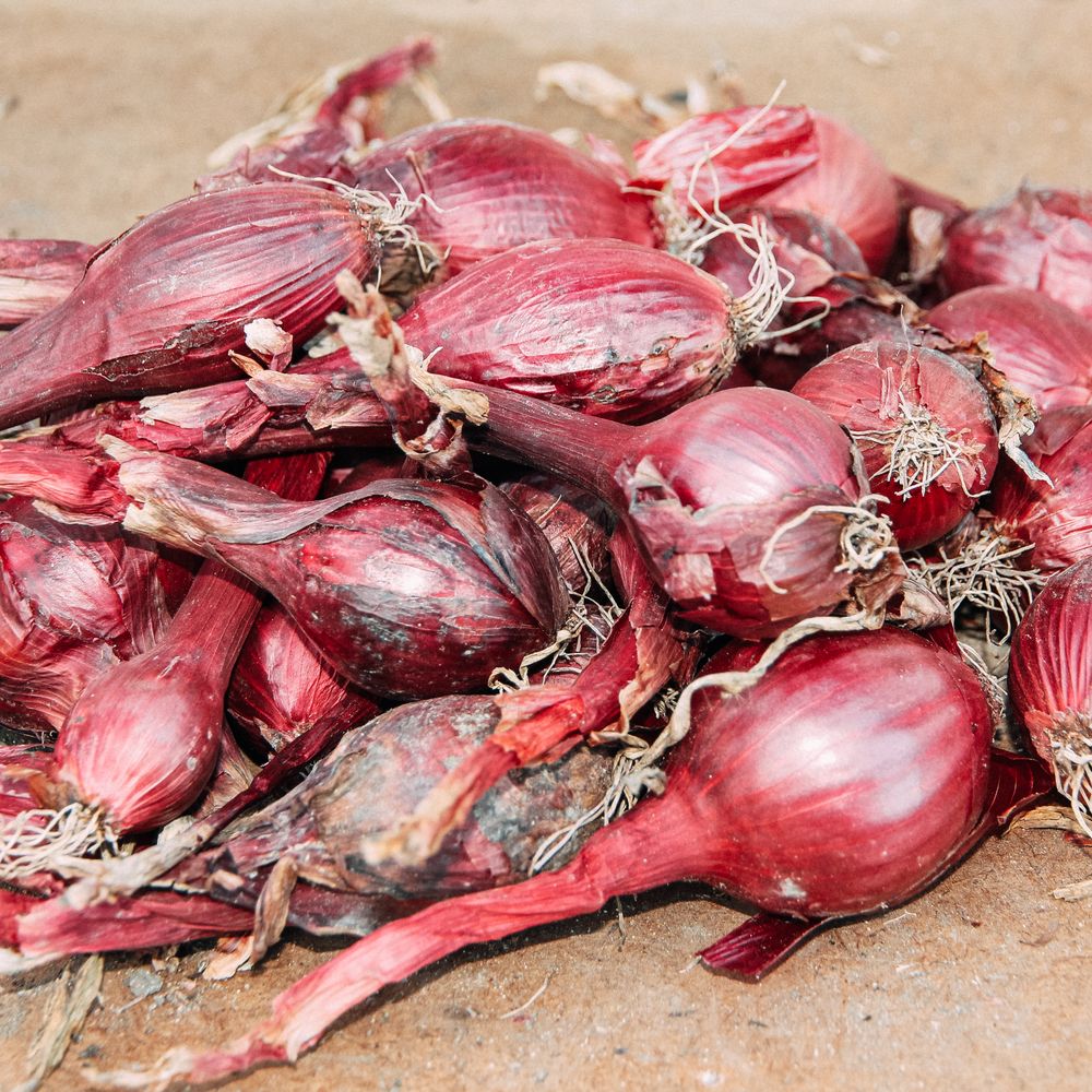 Red Onions (1 kg)